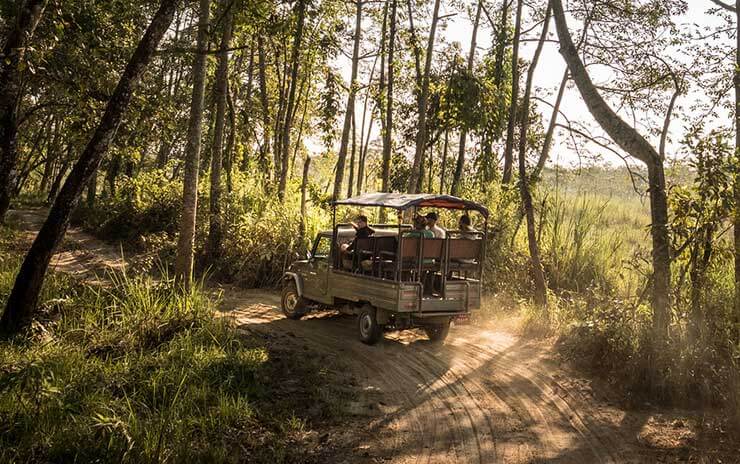 travellers-eco-tours-jeep-safari